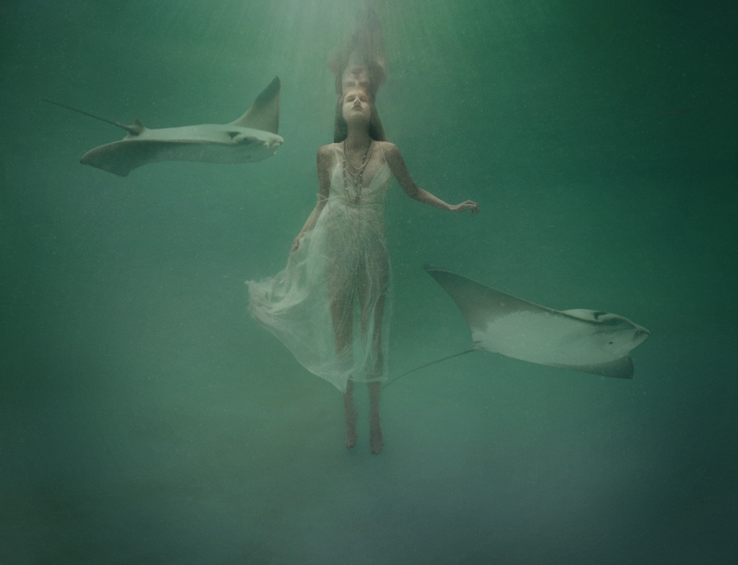 underwater_020913